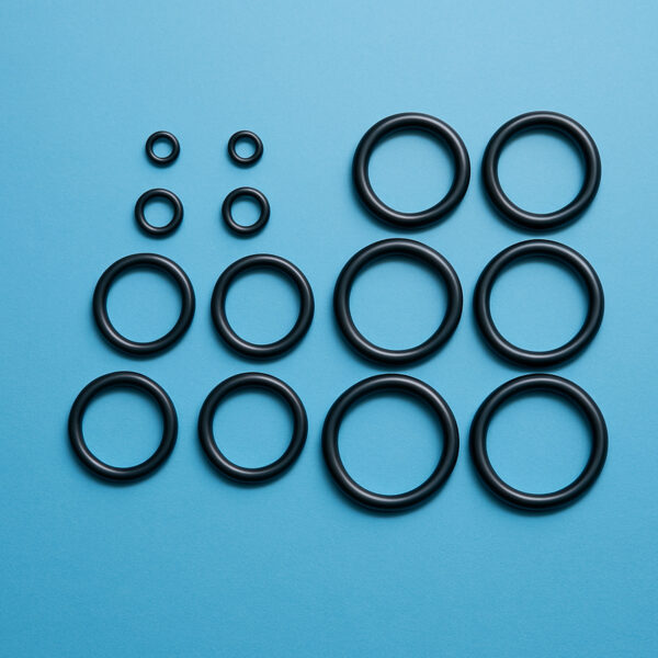 PCP O Ring Seal Kits